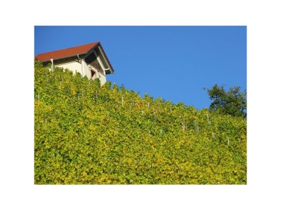 Apartment Ferienwohnung 1 - Outdoor photo 23