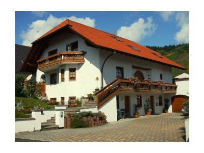 Apartment Ferienwohnung 1 - Outdoor photo 41