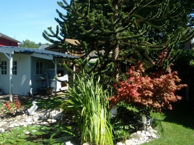 Apartment Ferienwohnung - Outdoor photo 7