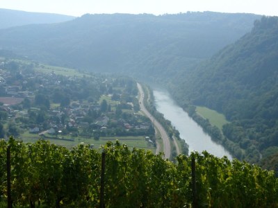 Apartment Ferienwohnung - Outdoor photo 10