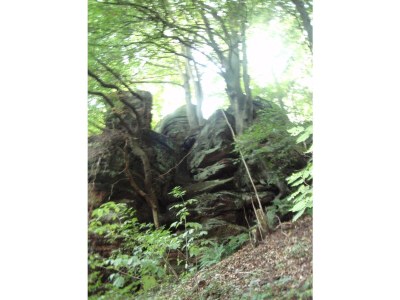 Apartment Ferienwohnung - Outdoor photo 11