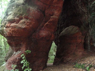 Apartment Ferienwohnung - Outdoor photo 12