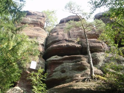 Apartment Ferienwohnung - Outdoor photo 13