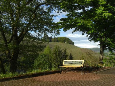 Apartment Alter Weinberg - Outdoor photo 20