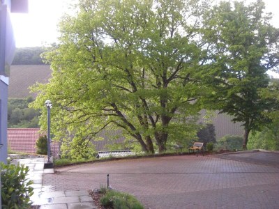 Apartment Alter Weinberg - Features photo 28