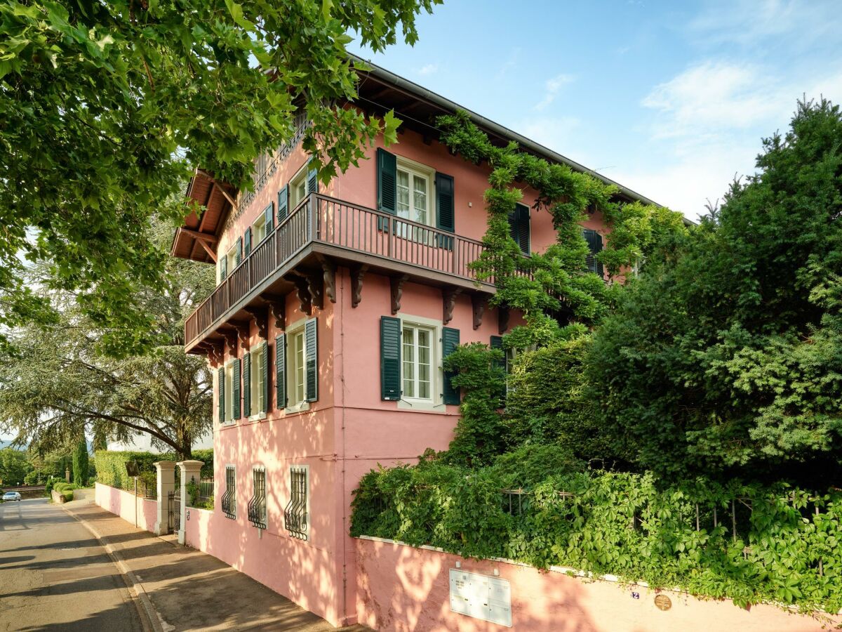 Apartment Ferienwohnung "Alte Reben"