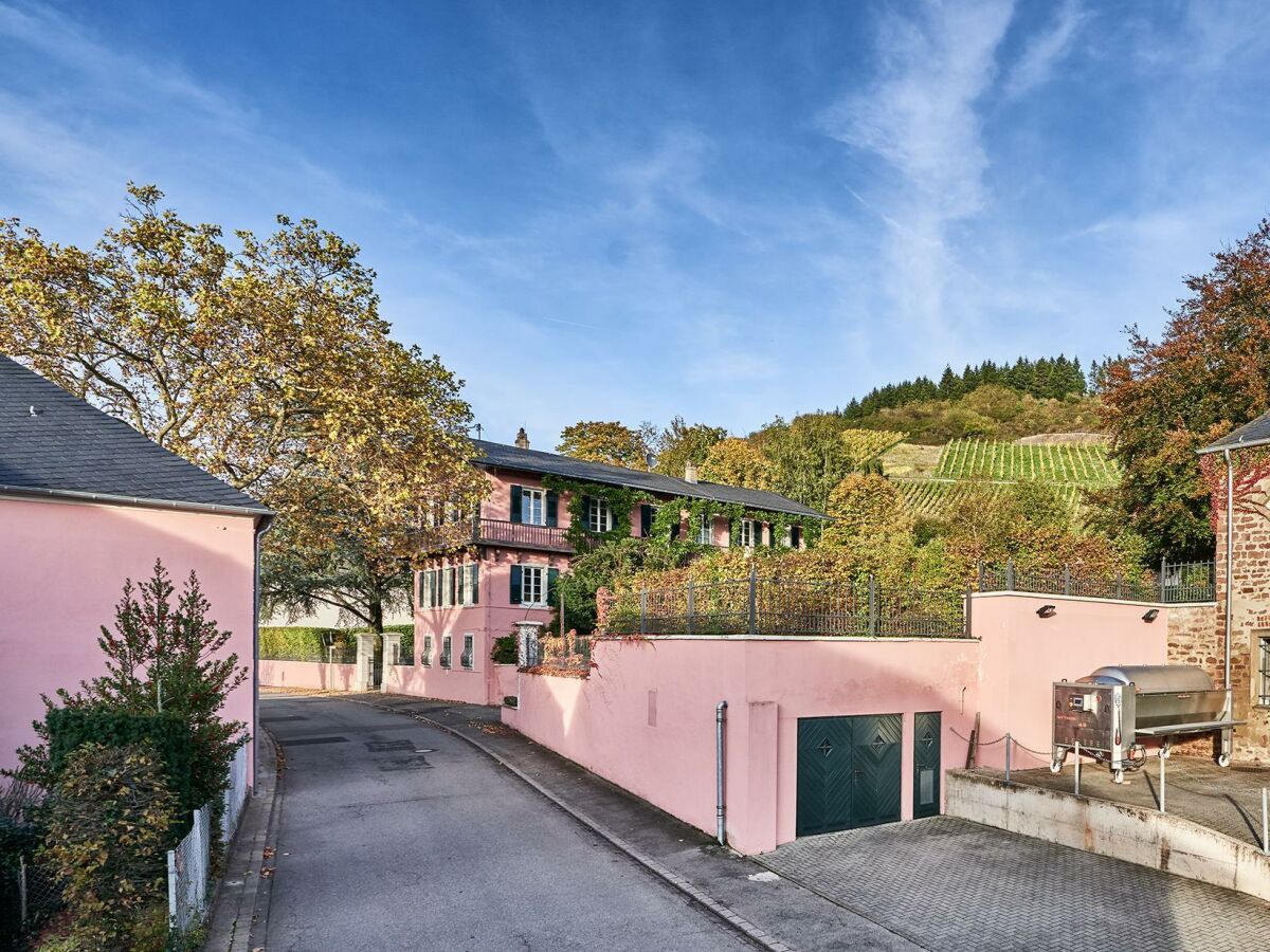 Apartment Ferienwohnung "Alte Reben" - Outdoor photo 2