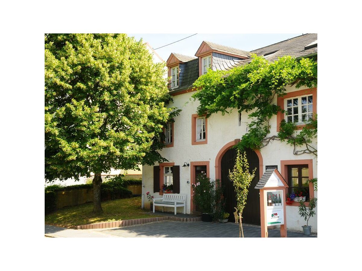 Apartment Ferienwohnung