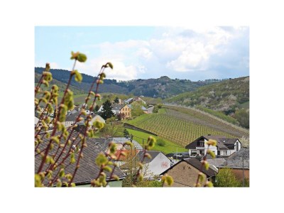 Apartment Ferienwohnung - Features photo 21