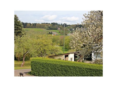 Apartment Ferienwohnung - Features photo 23