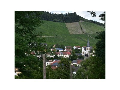 Apartment Ferienwohnung - Outdoor photo 23