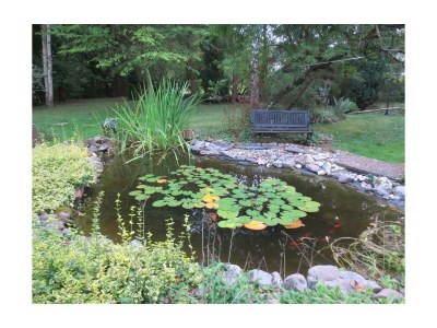 Apartment Ferienwohnung - Outdoor photo 13