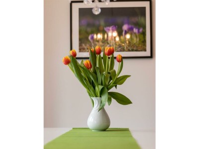 Apartment Ferienwohnung - Outdoor photo 10