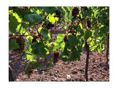 Apartment PREMIUM-Apartement - Outdoor photo 11