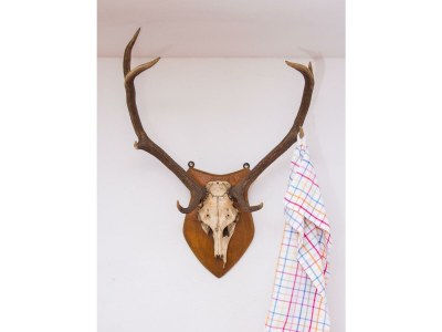 Apartment Ferienwohnung - Outdoor photo 10