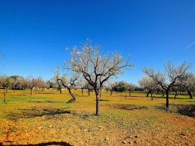 Holiday house Landhaus mit privatem Pool - Environment photo 36