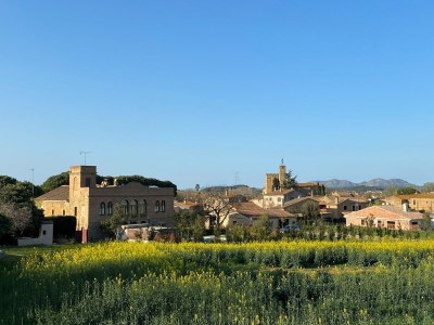 Holiday house Charming Home Near Vulpellac - Environment photo 34