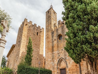 Holiday house Charming Home Near Vulpellac - Environment photo 36