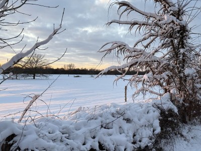 Holiday apartment Very stylish 75m² 3-bed apartment!!! - Environment photo 36