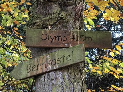 Holiday apartment Moselle Reschke - Environment photo 22