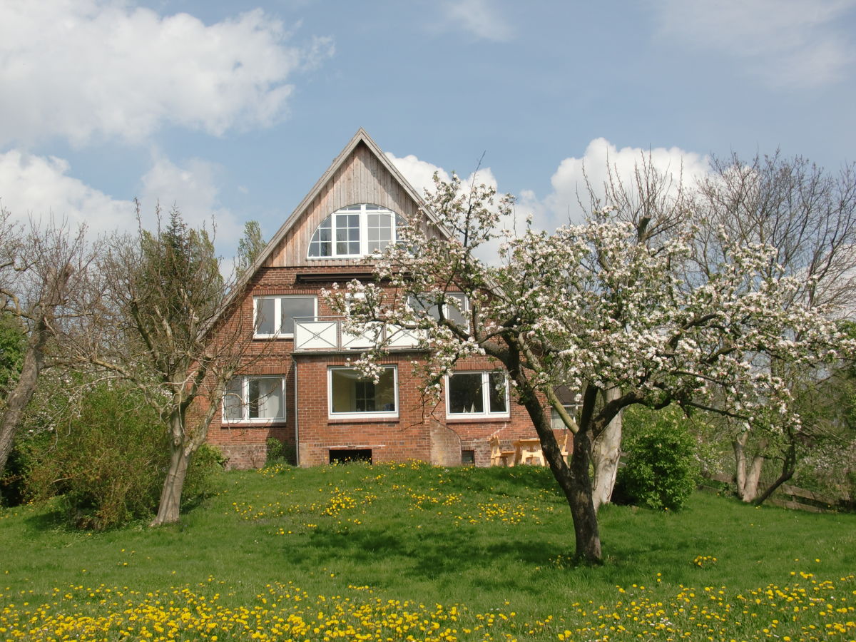 Holiday apartment Landhaus on Reet - Outdoor photo 2