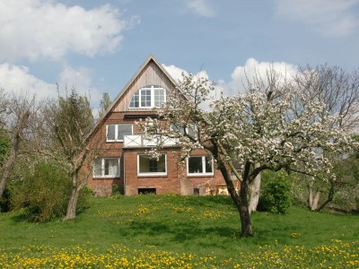 Holiday apartment Landhaus on Reet - Outdoor photo 2