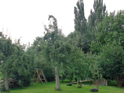 Holiday apartment Landhaus on Reet - Outdoor photo 3
