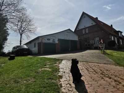 Holiday apartment Landhaus on Reet - Outdoor photo 5