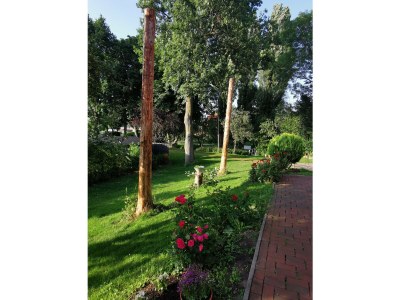 Holiday apartment Landhaus on Reet - Outdoor photo 7