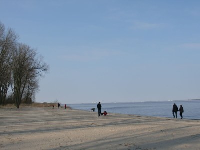 Holiday apartment Landhaus on Reet - Environment photo 17