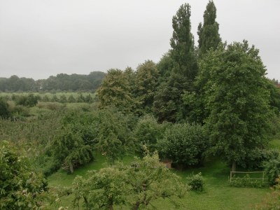 Holiday apartment Landhaus on Reet - Environment photo 19