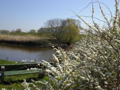 Holiday apartment Landhaus on Reet - Environment photo 22