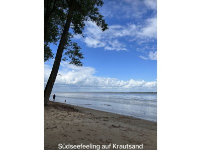 Holiday apartment Landhaus on Reet - Environment photo 26