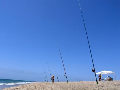 Apartment Strandurlaub in Roquetas - Environment photo 36