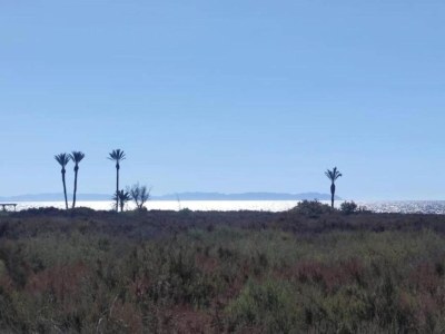 Apartment Terrassenwohnung am Strand - Environment photo 25