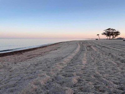 Apartment Terrassenwohnung am Strand - Environment photo 28