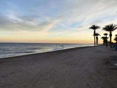 Apartment Terrassenwohnung am Strand - Environment photo 34