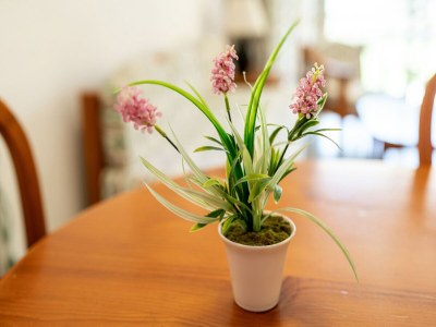 Apartment Charmantes Familienapartment - Outdoor photo 37