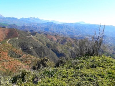 Holiday house Private Pool Retreat Almogía - Environment photo 40