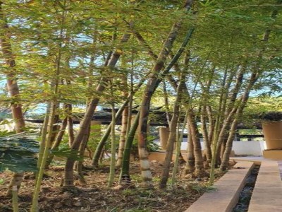 Apartment Küstenurlaub mit Pool - Environment photo 34