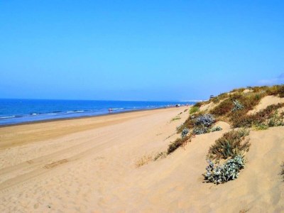 Apartment Küstenurlaub mit Pool - Environment photo 35