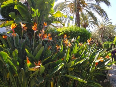 Apartment Küstenurlaub mit Pool - Outdoor photo 39