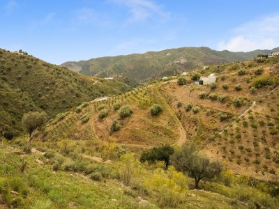 Holiday house Casa La Loma mit Pool - Environment photo 32