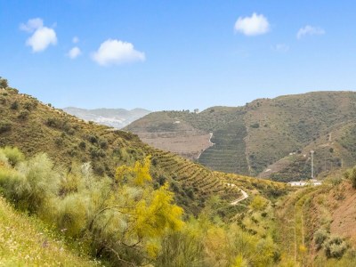 Holiday house Casa La Loma mit Pool - Environment photo 33