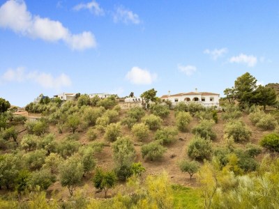 Holiday house Casa La Loma mit Pool - Environment photo 36