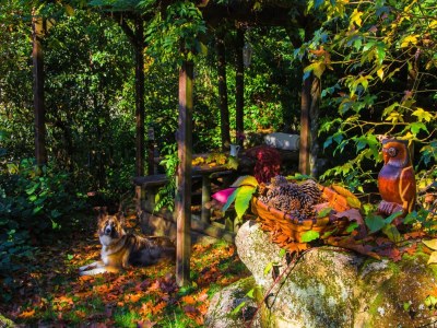 Cottage Villa in A Lama near Rías Baixas Beaches - Outdoor photo 37