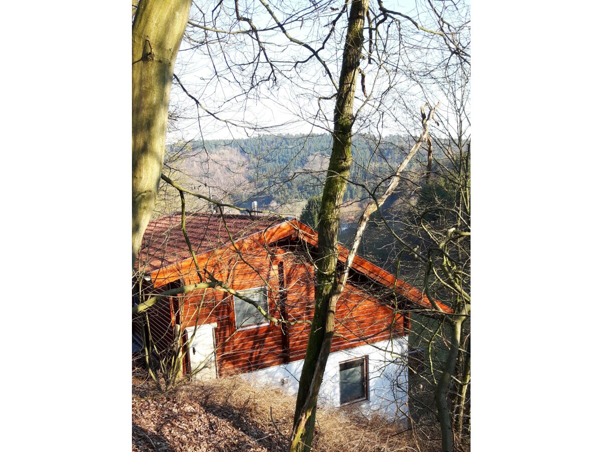 Holiday house Carolin with sauna - Outdoor photo 2