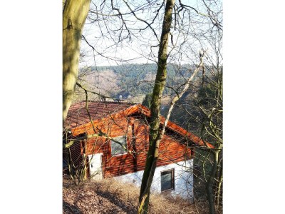 Holiday house Carolin with sauna - Outdoor photo 2