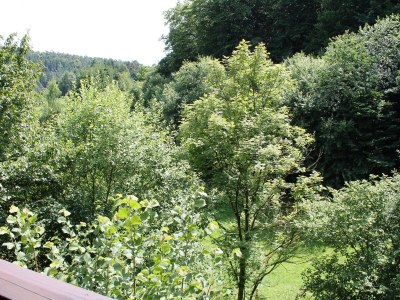 Holiday house Carolin with sauna - Outdoor photo 7
