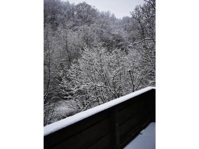 Holiday house Carolin with sauna - Outdoor photo 9